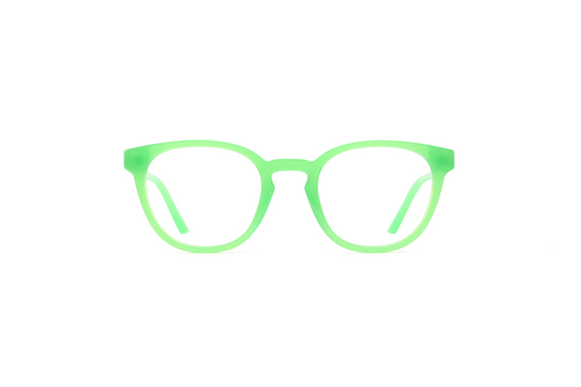Tortugas | Green Fauna