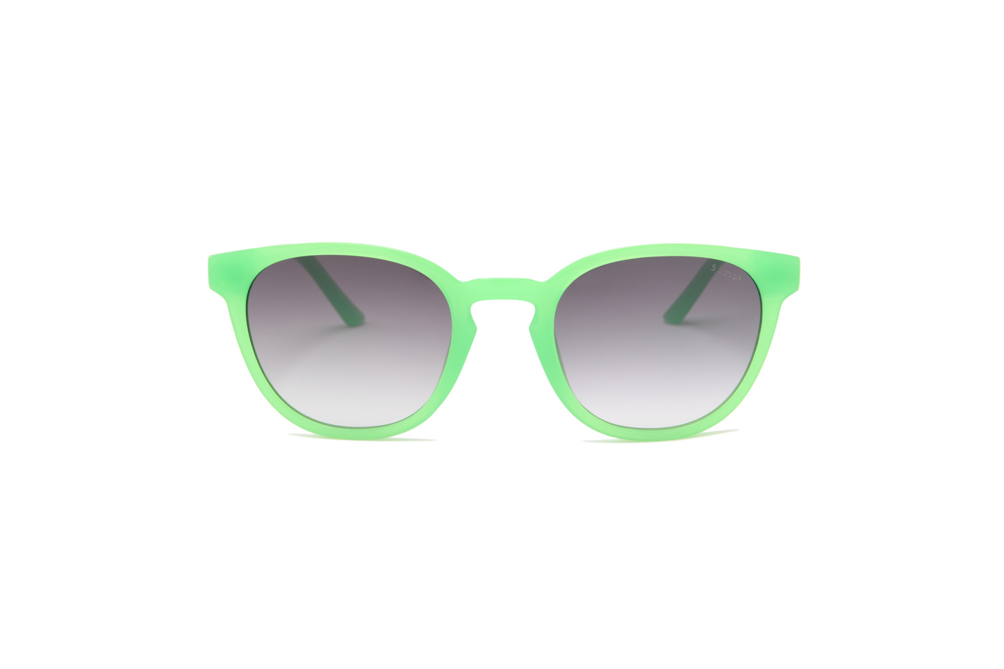 Tortugas | Green Fauna