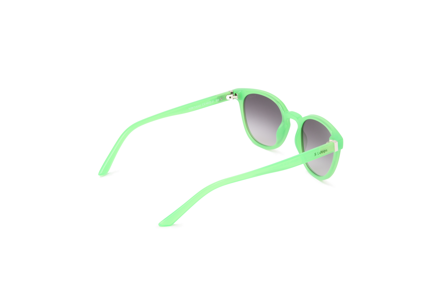 Tortugas | Green Fauna