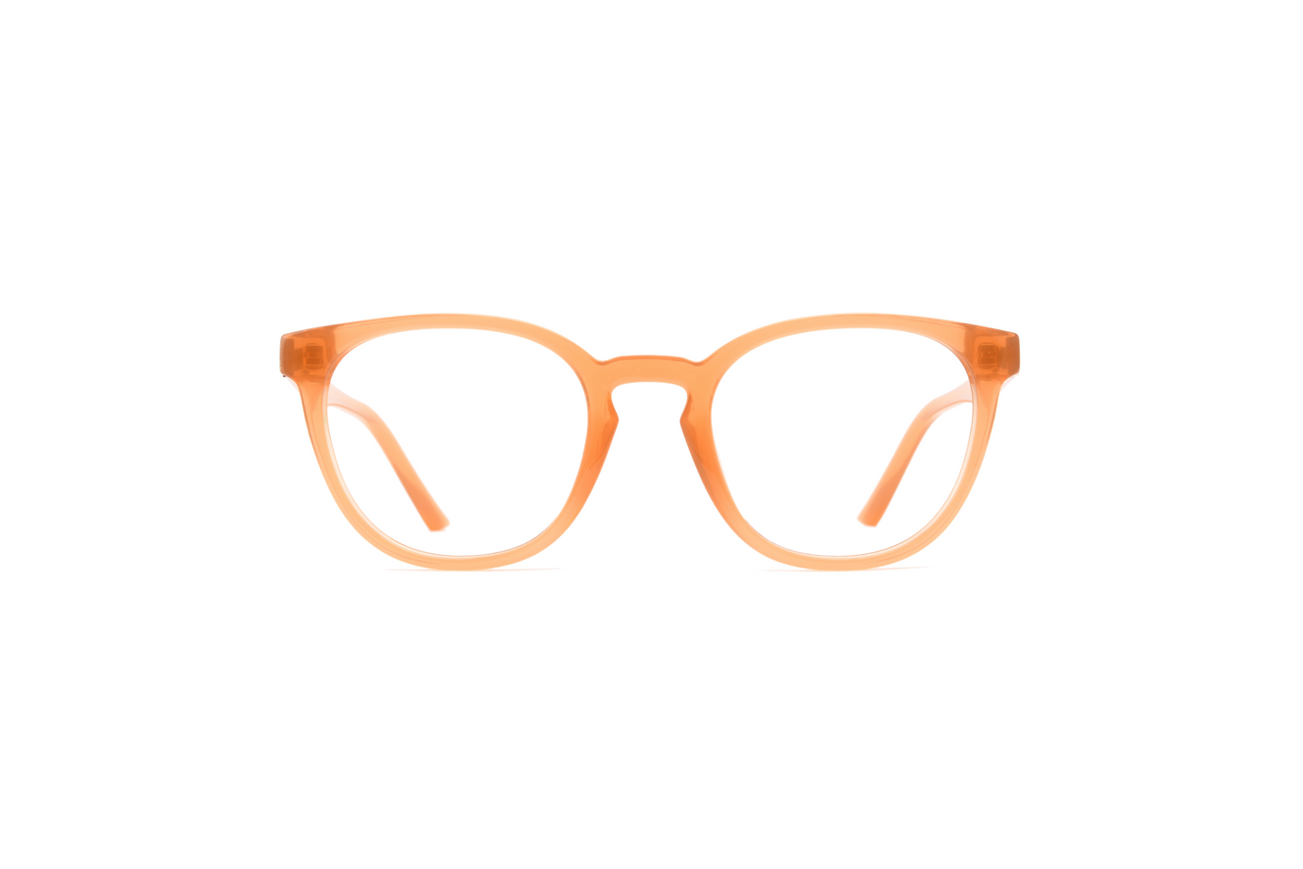 Tortugas | Apricot