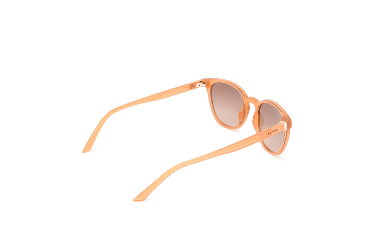 Tortugas | Apricot